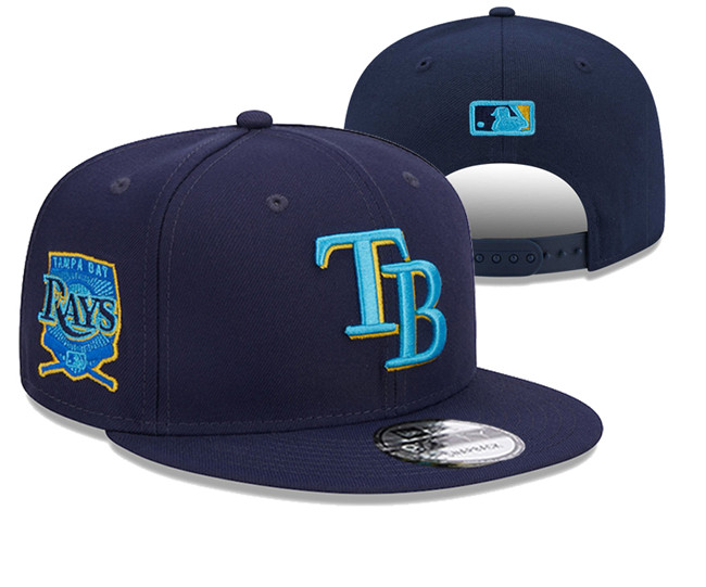 Tampa Bay Rays Stitched Snapback Hats 007